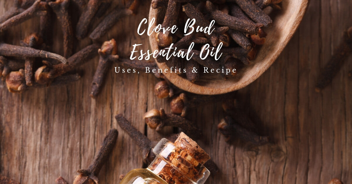 Clove Essential Oil Blends by Loving Essential Oils