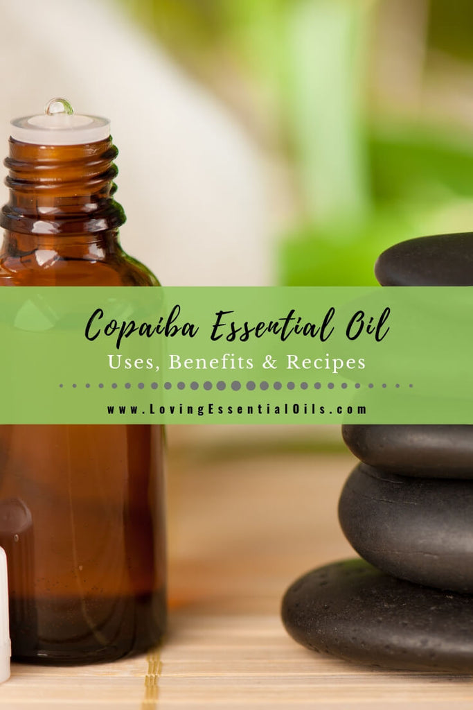Copaiba Essential Oil Spotlight by Loving Essential Oils