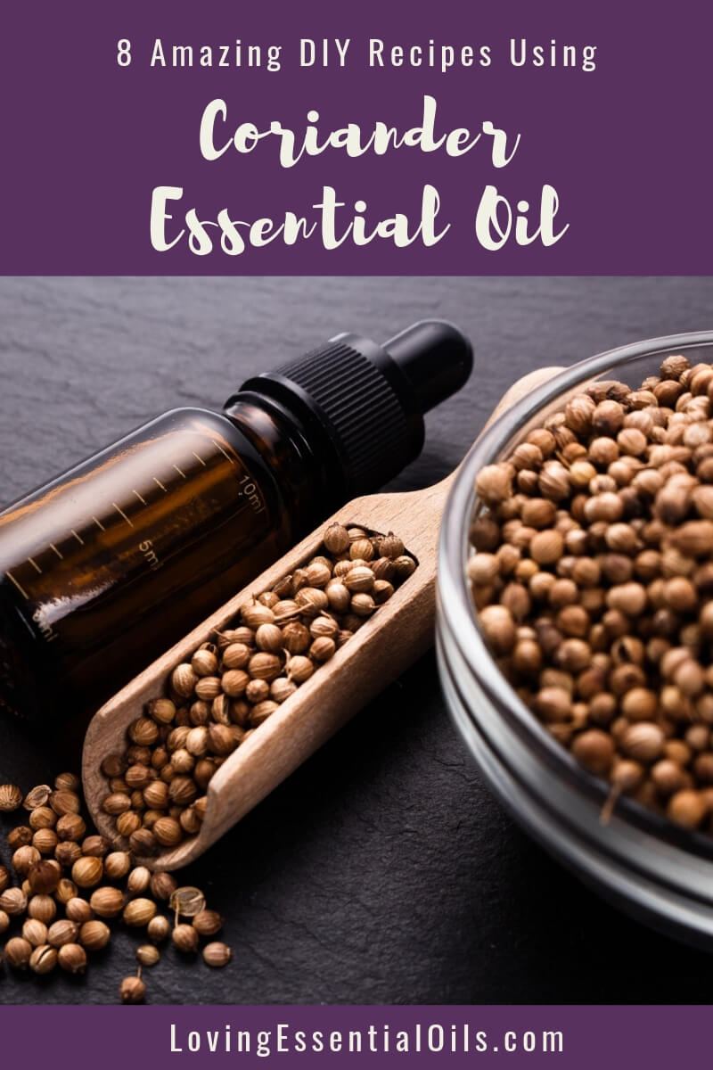 8 Amazing DIY Recipes Using Coriander Essential Oil by Loving Essential Oils