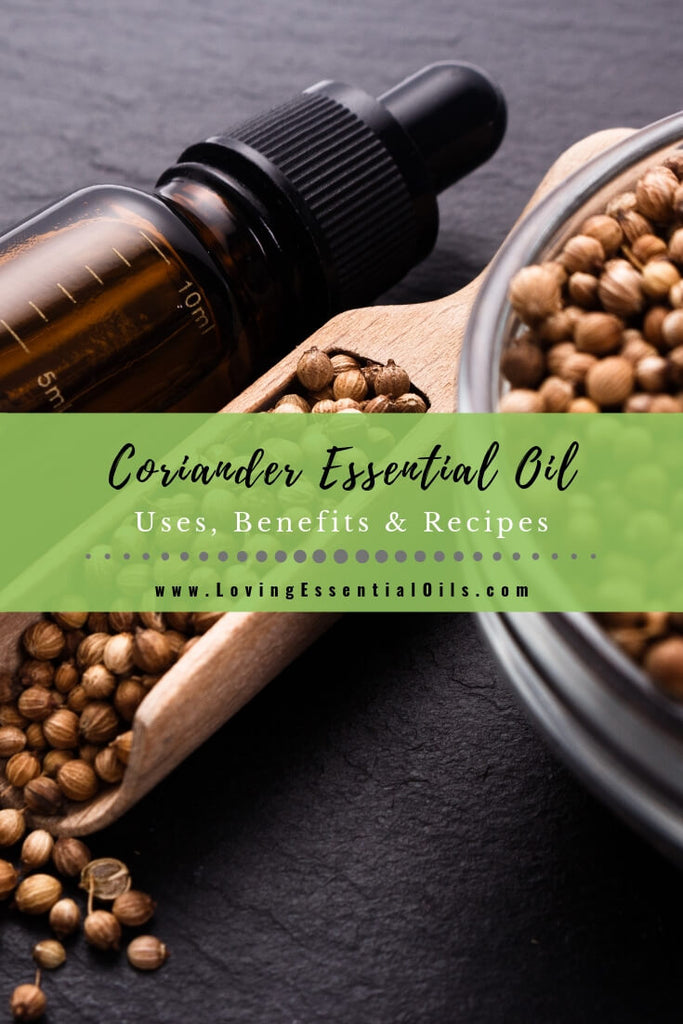 Coriander Seed Essential Oil Uses and Benefits