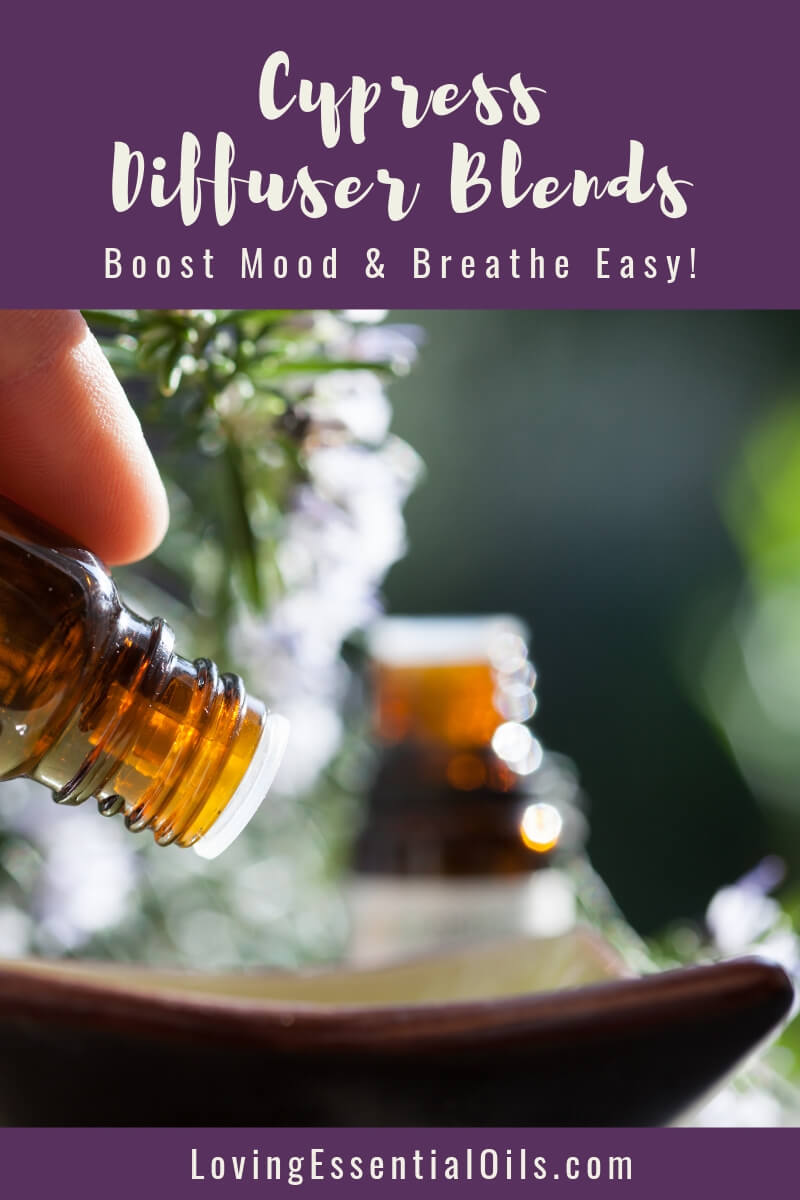 Cypress Diffuser Blends with Free Printable Cheat Sheet by Loving Essential Oils