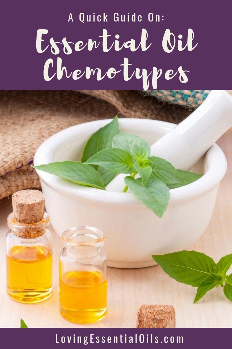 Essential Oil Chemotype Examples - A Quick Guide by Loving Essential Oils