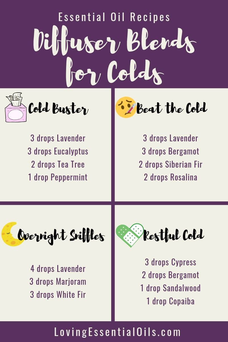 6 Diffuser Recipes for Colds with Free Cheat Sheet by Loving Essential Oils