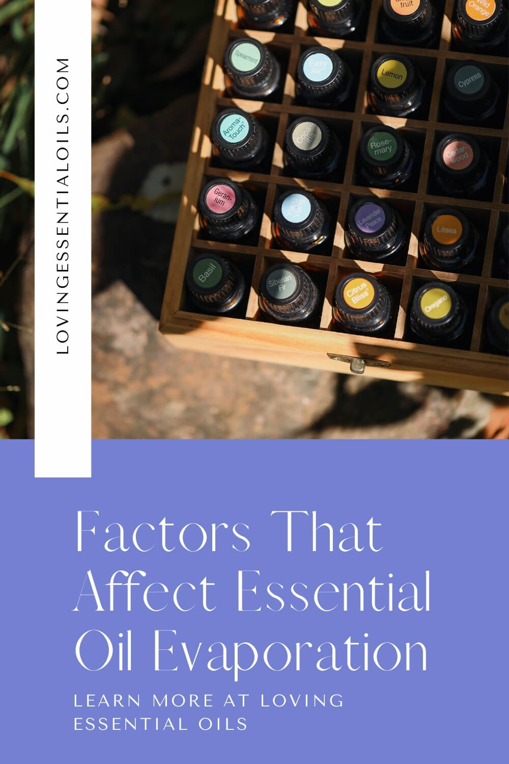 Factors That Affect Essential Oil Evaporation