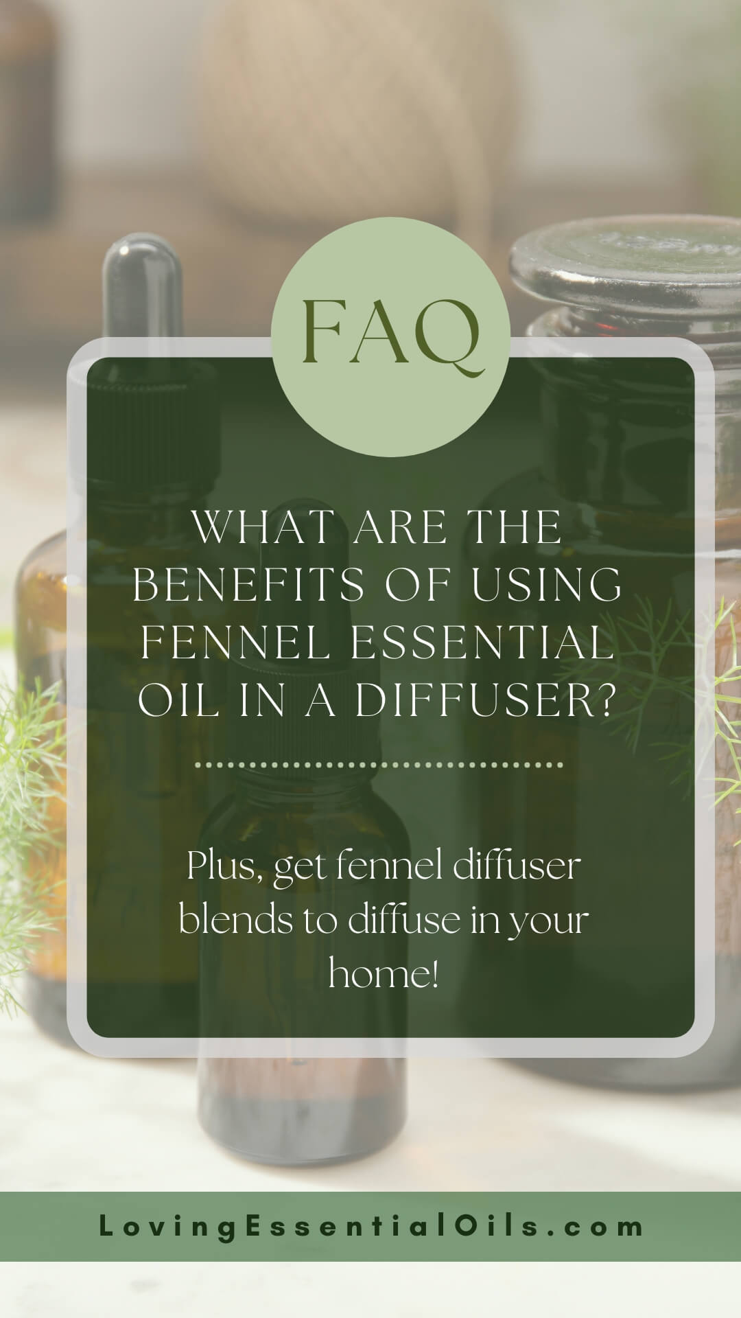 Fennel Essential oil in a Diffuser by Loving Essential Oils