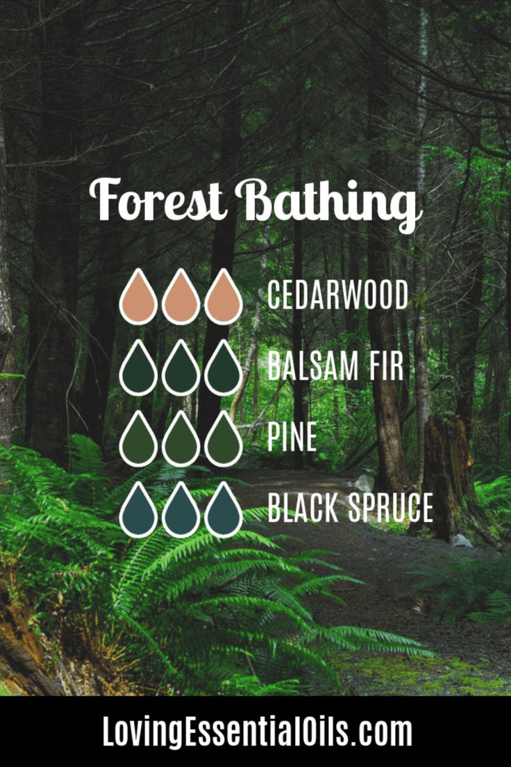 What are the benefits of cedarwood oil in a diffuser - Forest Bathing Blend