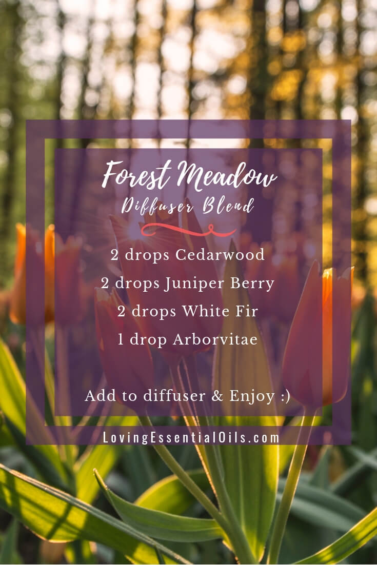 Forest Meadow Diffuser Blend For Relaxation and Rejuvenation by Loving Essential Oils