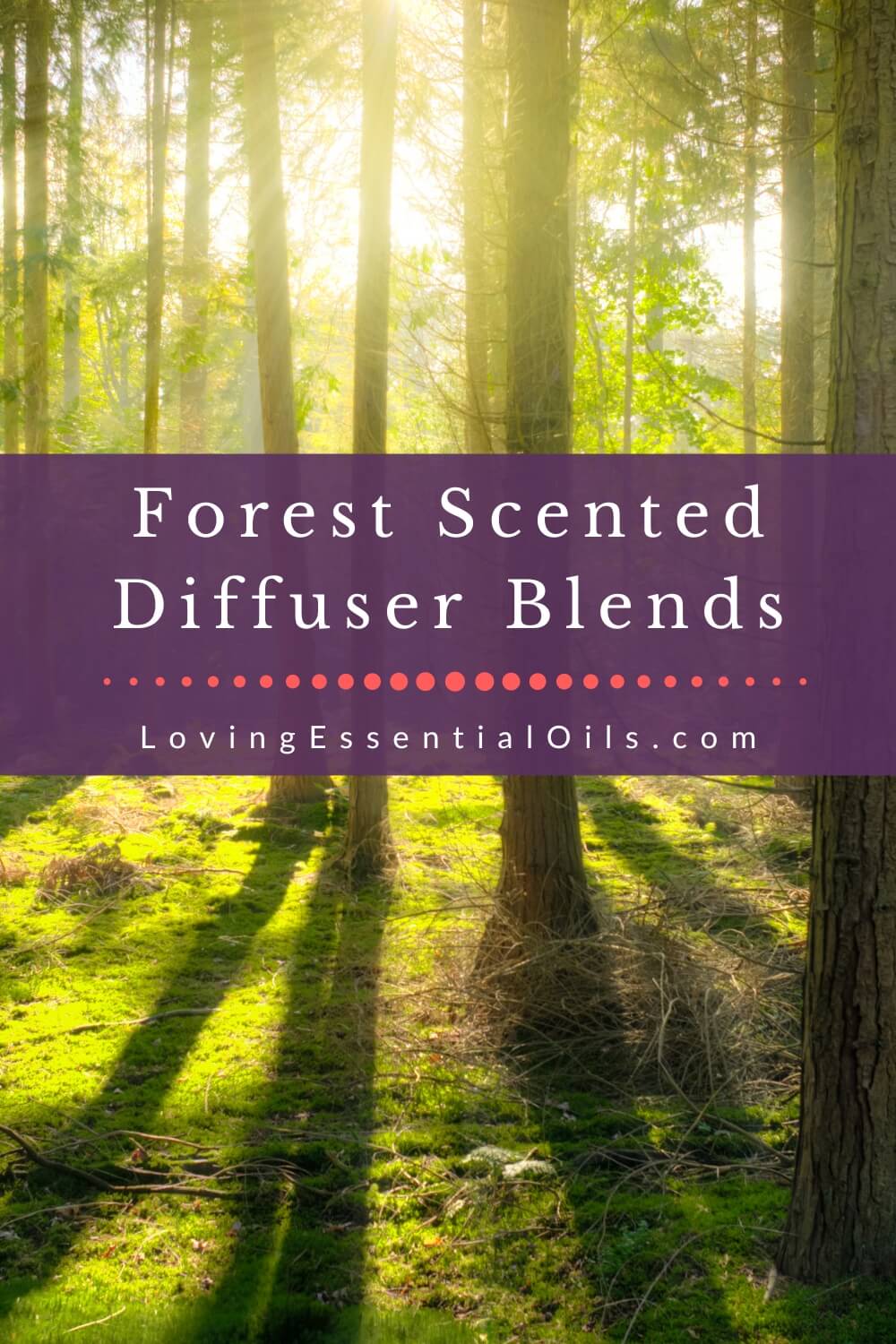 Forest Scented Diffuser Blends by Loving Essential Oils