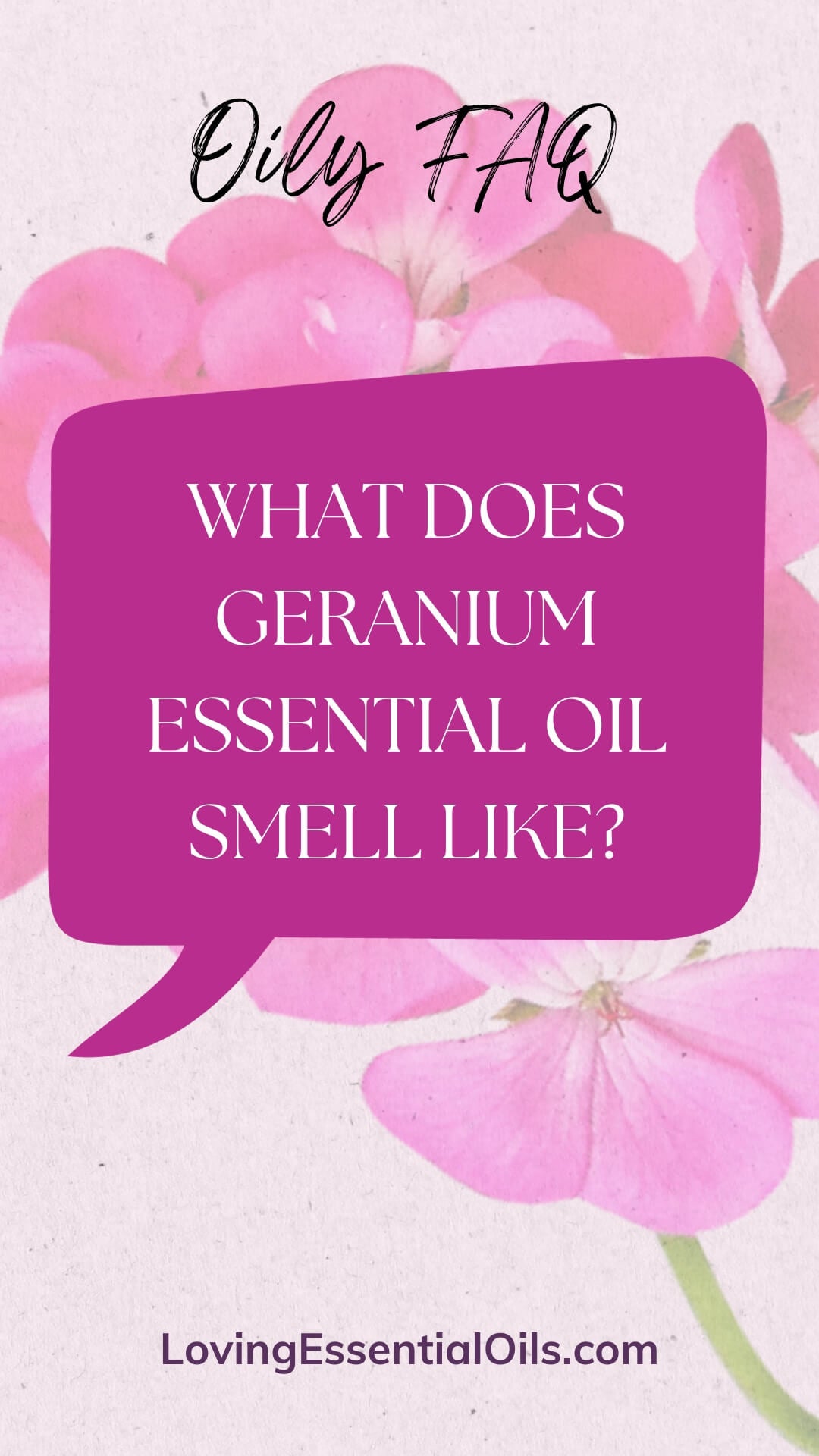 Geranium Essential Oil Aroma by Loving Essential Oils