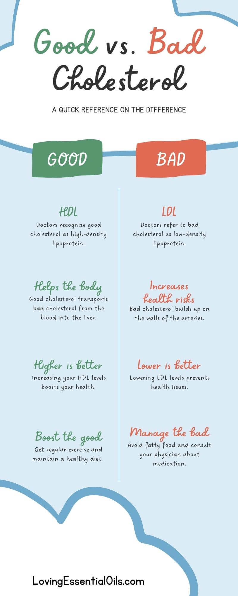 Good vs. Bad Cholesterol Infographic by Loving Essential Oils