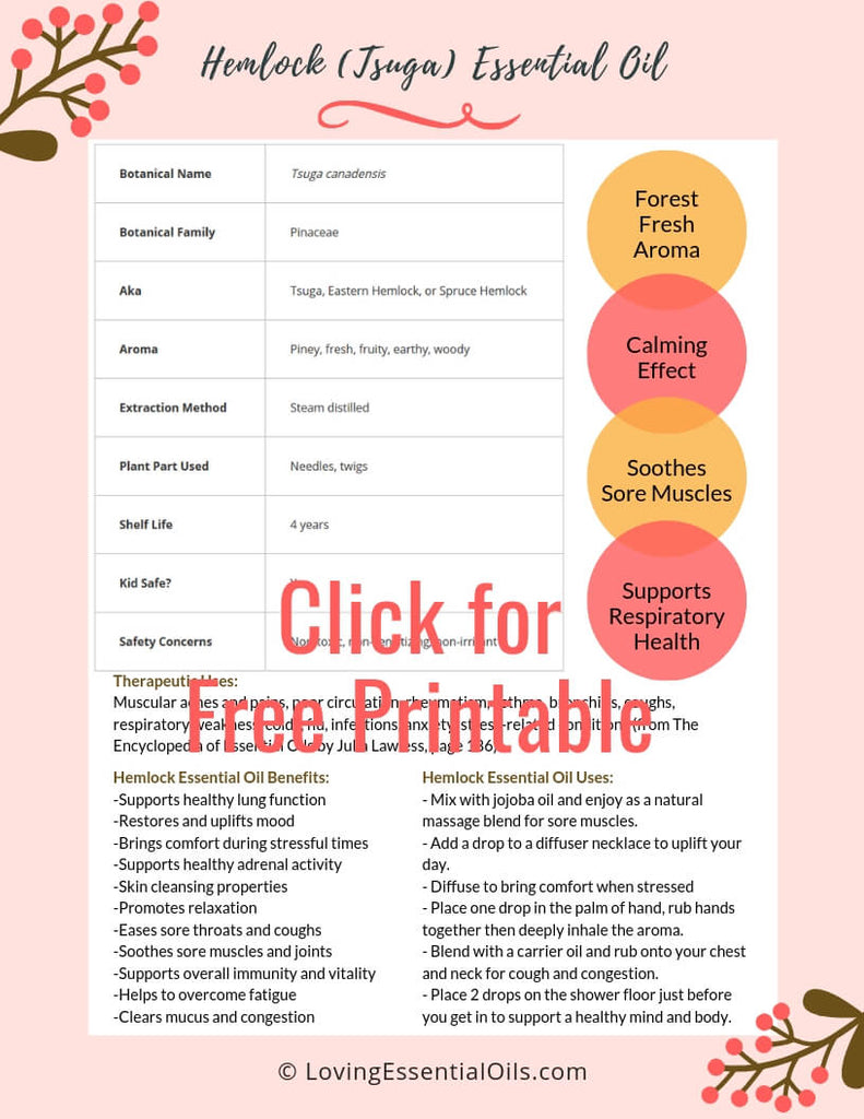 Hemlock Essential Oil Printable PDF by Loving Essential Oils