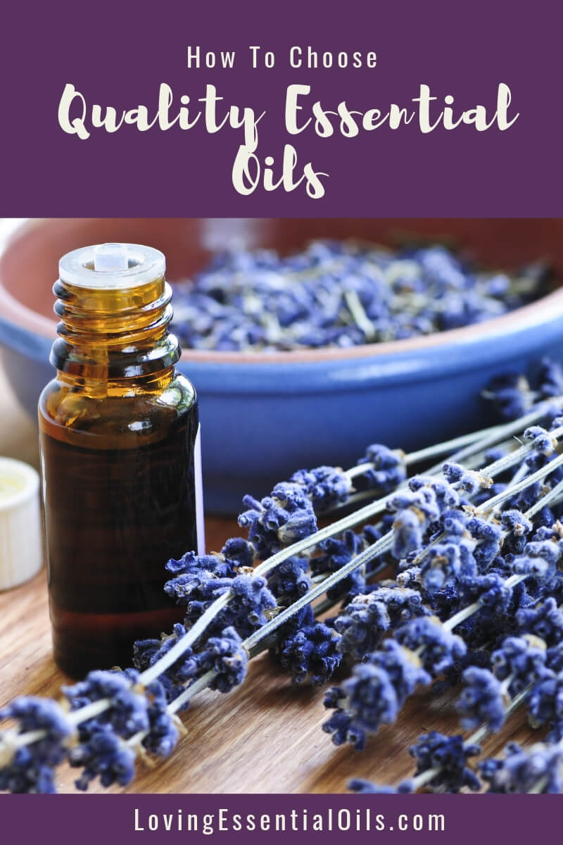How To Buy Essential Oils - Buying Guide by Loving Essential Oils