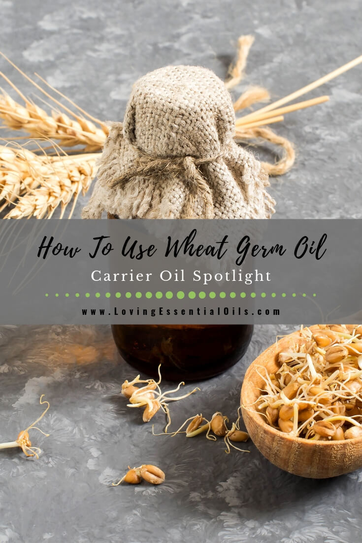 How To Use Wheat Germ Oil for Scars & Skin - Carrier Oil Spotlight by Loving Essential Oils