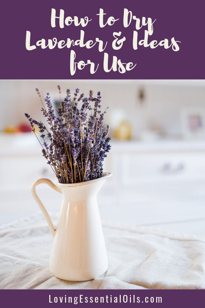 What to do with lavender flowers? Ideas for using lavender by Loving Essential Oils