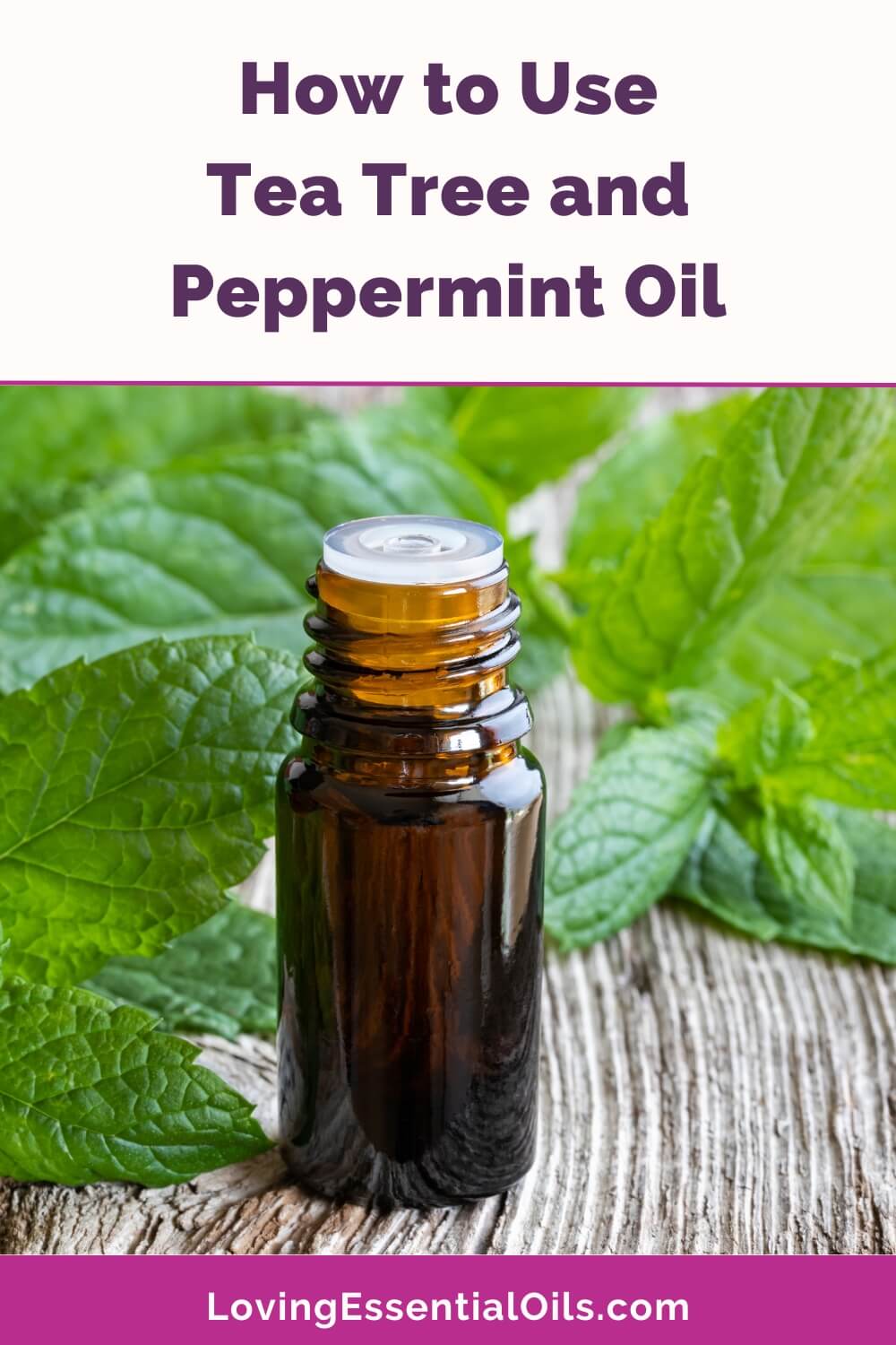 How to Use Tea Tree and Peppermint Oil by Loving Essential Oils
