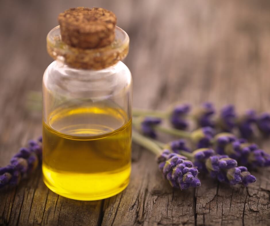 Lavender Essential Oil for Congestion