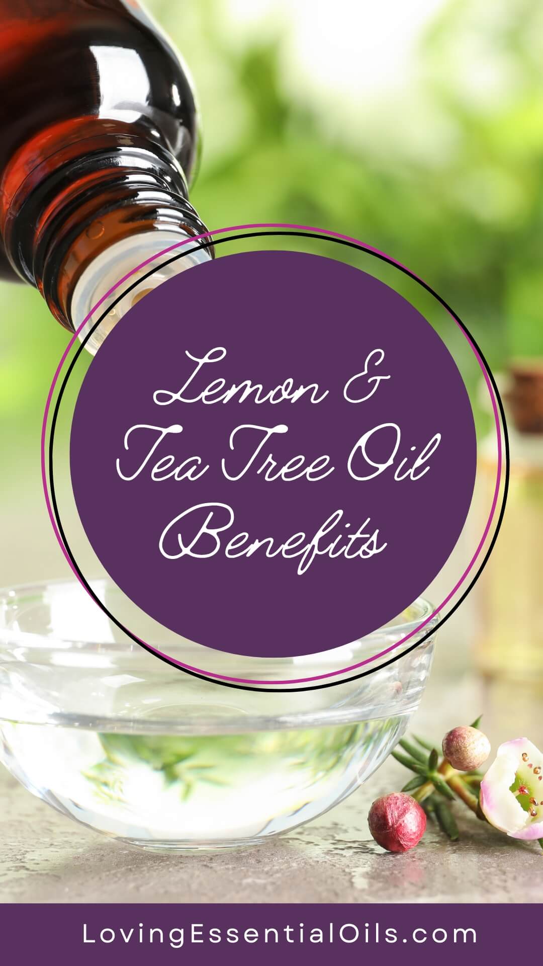 Lemon Tea Tree Essential Oil Benefits