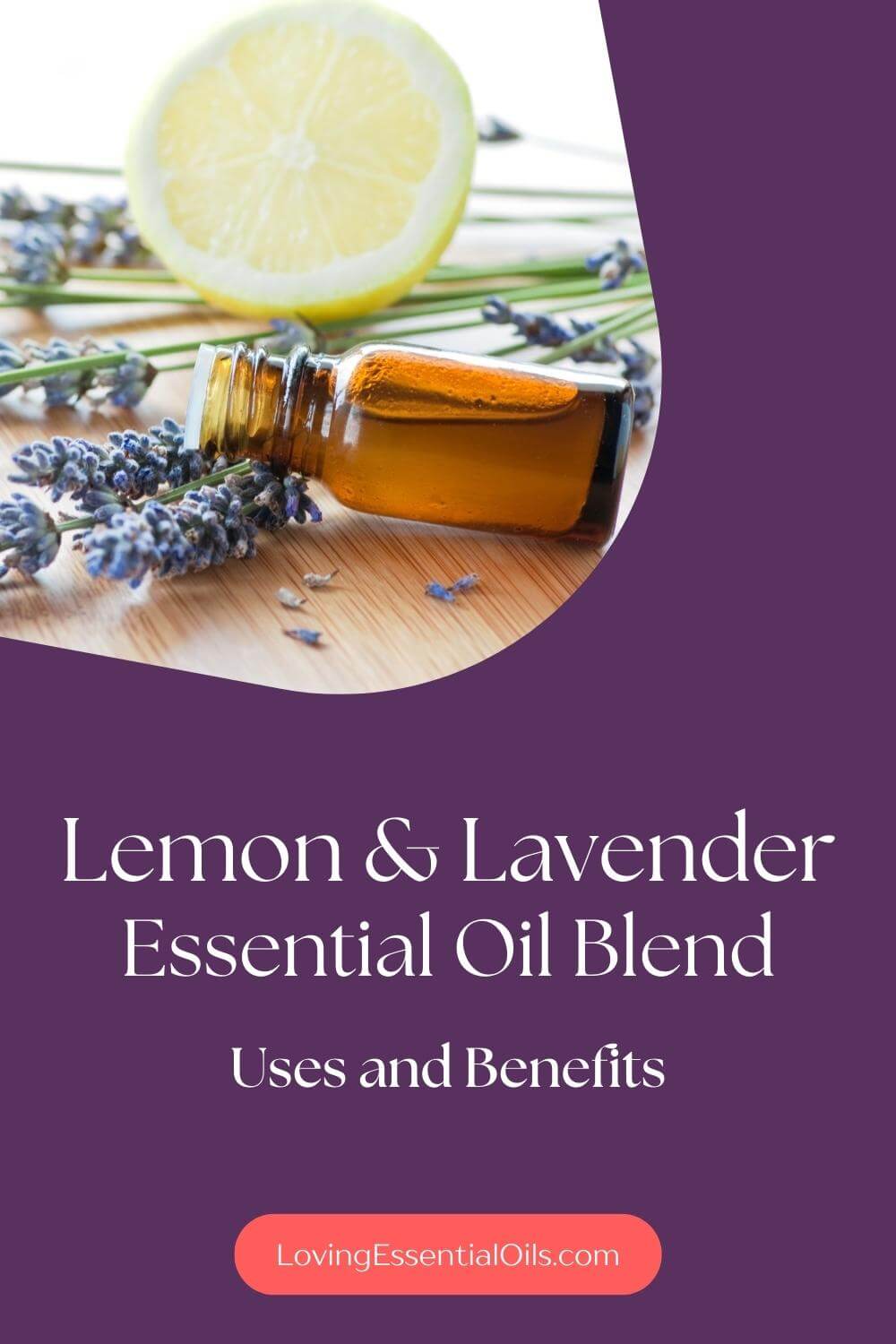 Blending lemon and lavender essential oil in aromatherapy by Loving Essential Oils