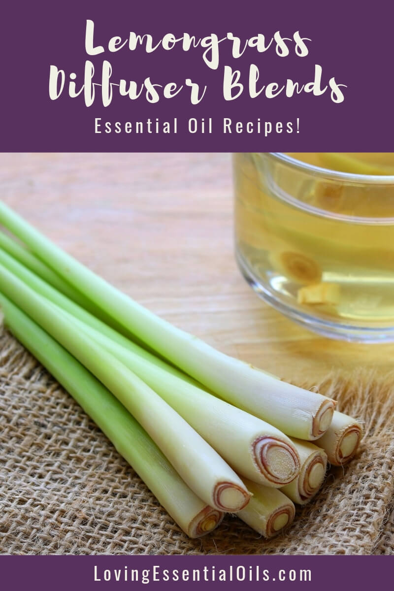 Lemongrass Diffuser Recipes to Ease Stress and Raise Spirits! by Loving Essential Oils