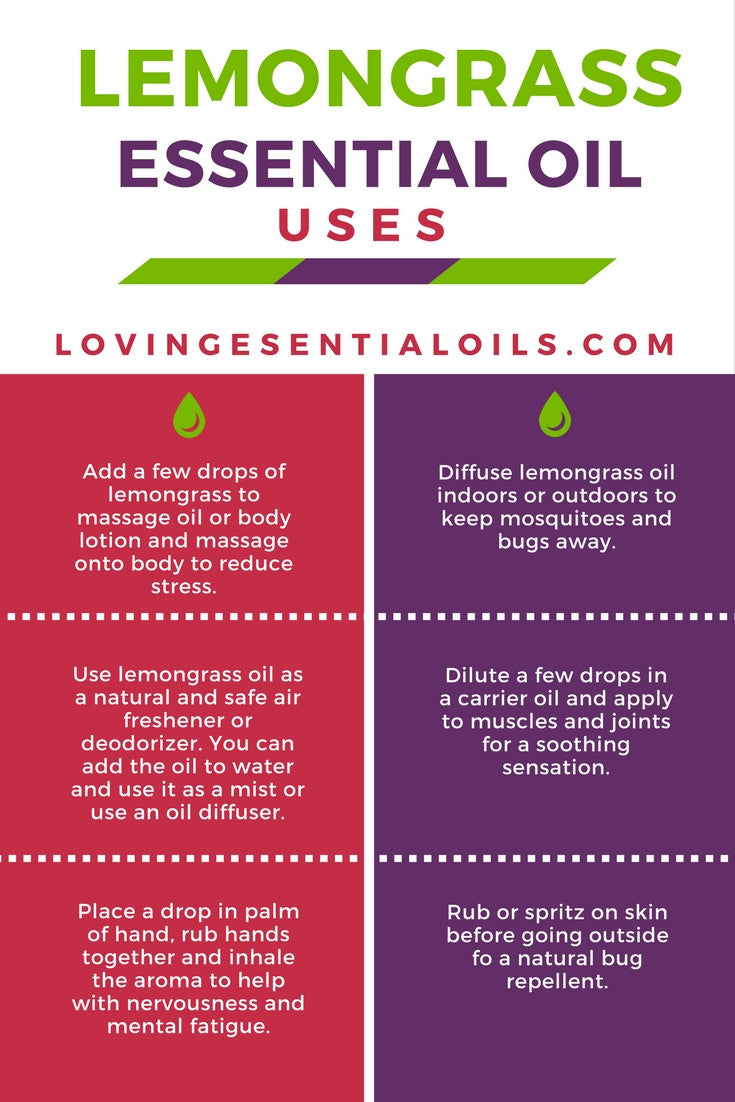 Lemongrass Essential Oil Uses and Benefits by Loving Essential Oils