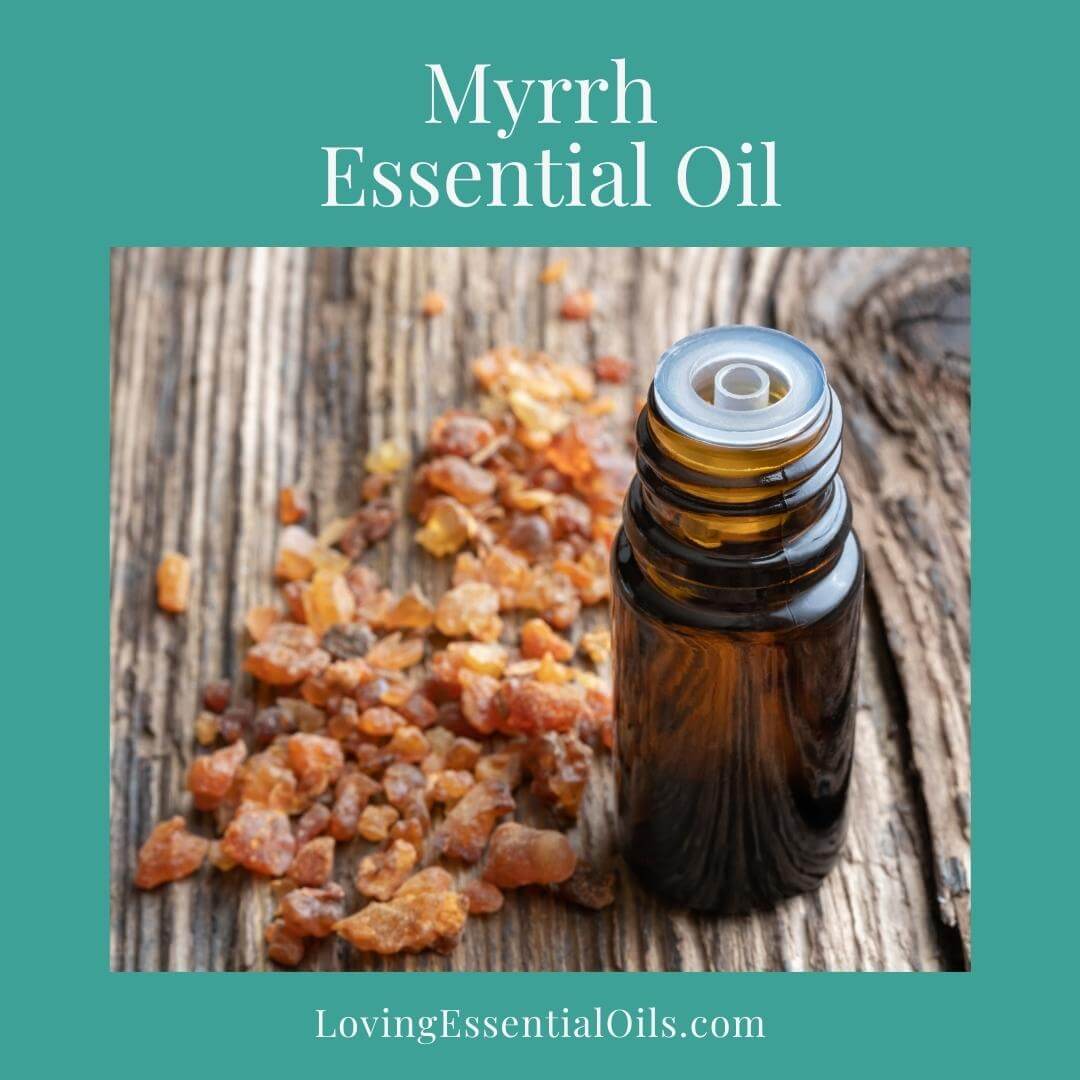 Myrrh Essential Oil - Top Resin Oil by Loving Essential Oils