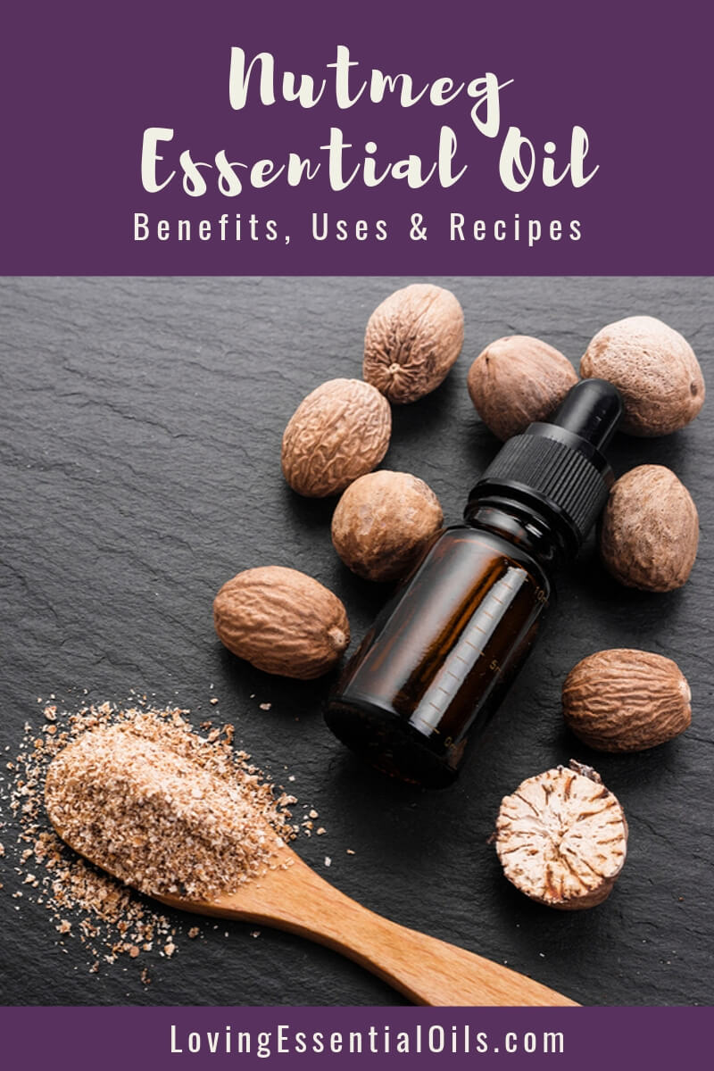 Nutmeg Essential Oil Recipes by Loving Essential Oils | Learn all about this favorite fall essential oil plus get DIY recipes and diffuser blends to try!