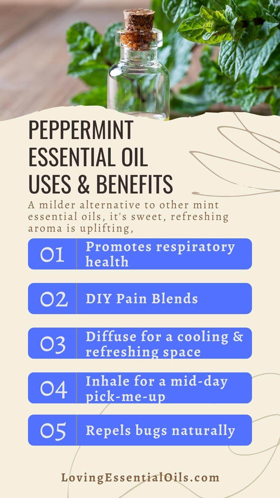 Peppermint Essential Oils Uses and Benefits by Loving Essential Oils
