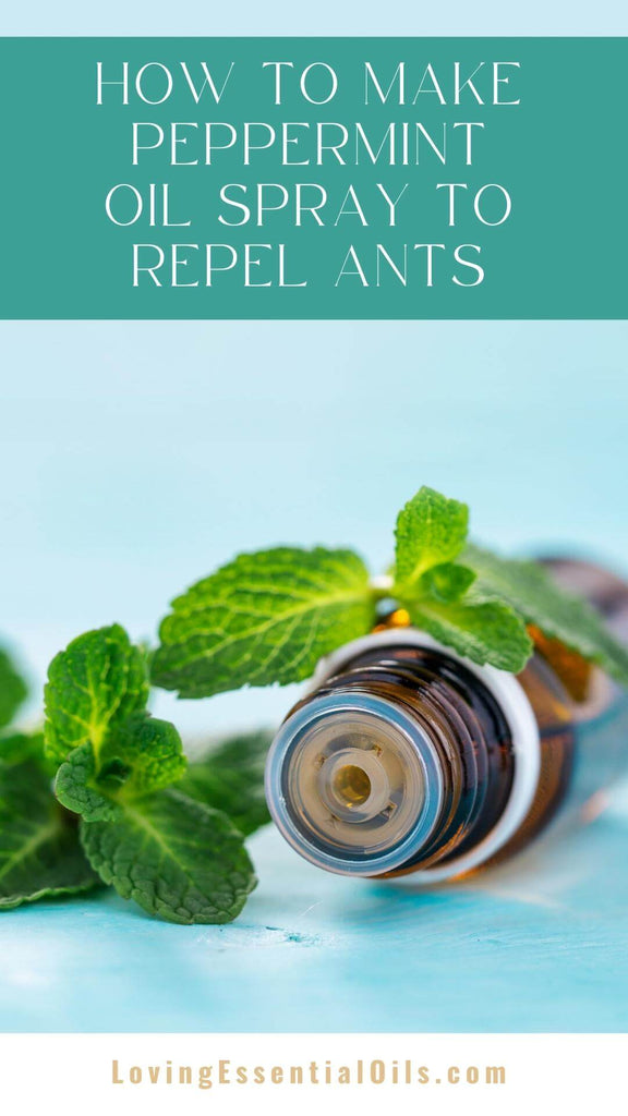 How to Use Peppermint Essential Oil to Repel Ants by Loving Essential Oils