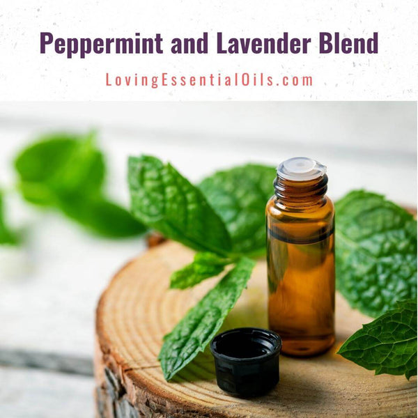 Peppermint and Lavender Blend by Loving Essential Oils