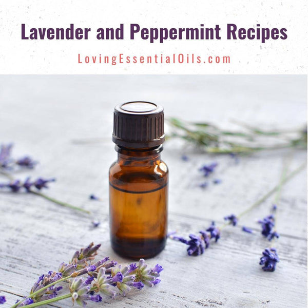 Peppermint and Lavender Recipe by Loving Essential Oils