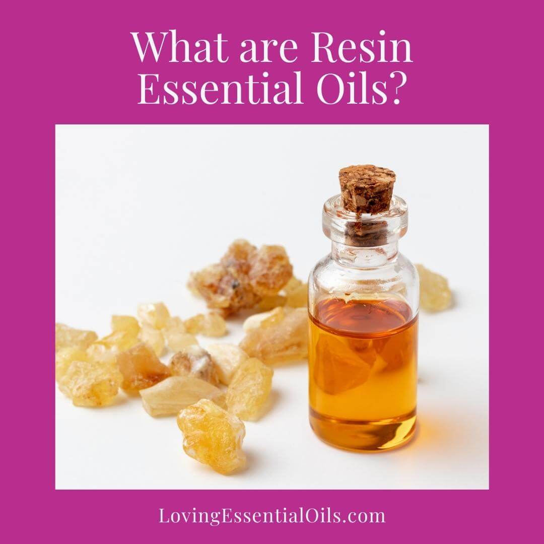 Resin Essential Oils Uses and Benefits by Loving Essential Oils