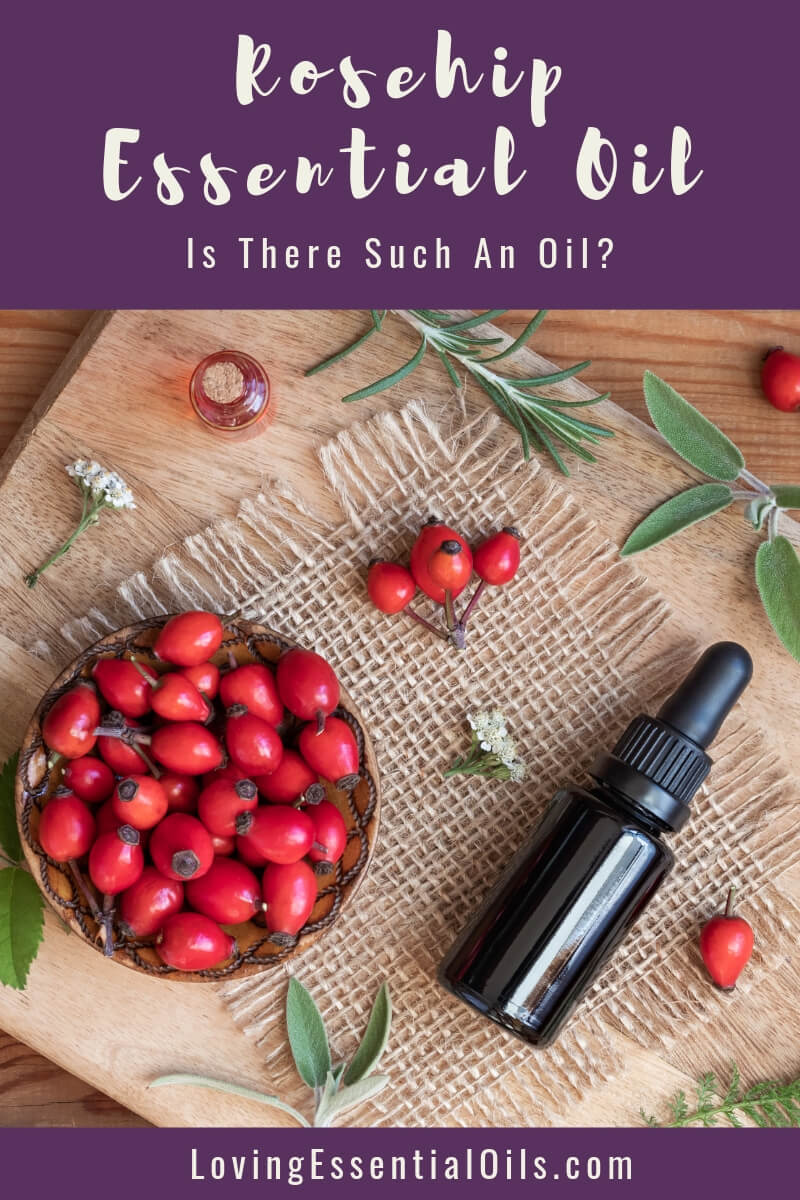 What is Rosehip Essential Oil Good for? by Loving Essential Oils