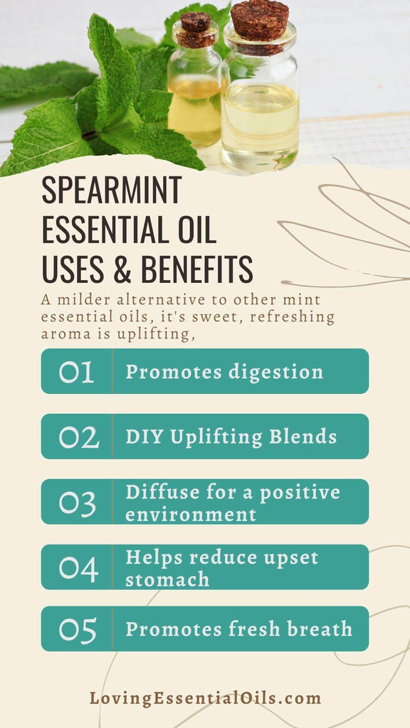 Spearmint Essential Oils Uses and Benefits by Loving Essential Oils