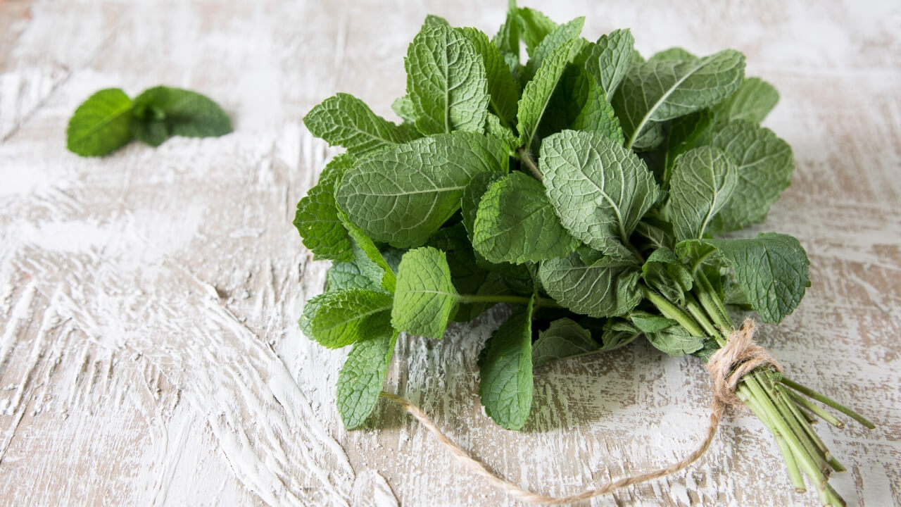 Spearmint Essential Oil Benefits by Loving Essential Oils | Find out all about Spearmint oil in this essential oil spotlight!