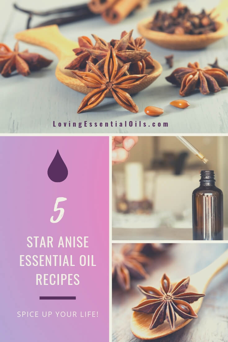 DIY Essential Oil Recipes for Star Anise by Loving Essential Oils