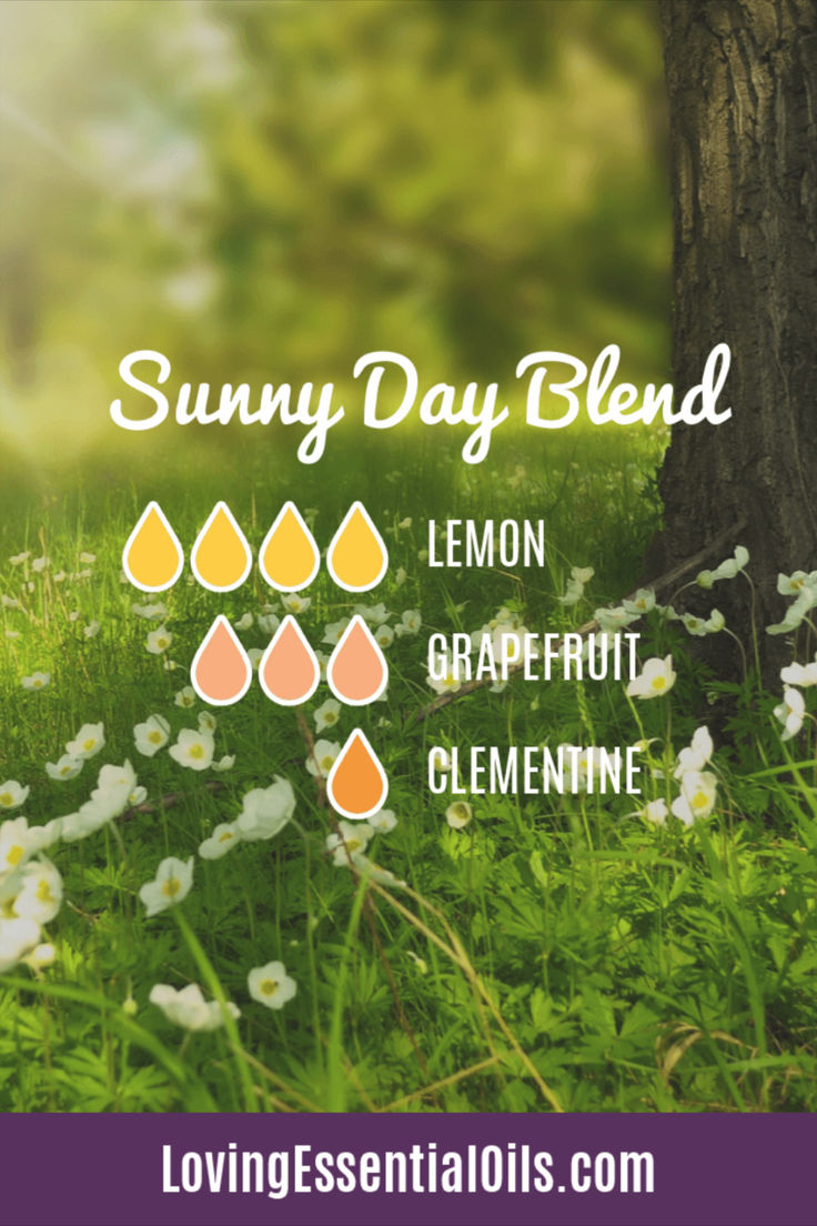 Sunny Day Essential Oil Blend Recipe and Benefits with Lemon, Grapefruit and Clementine Oils