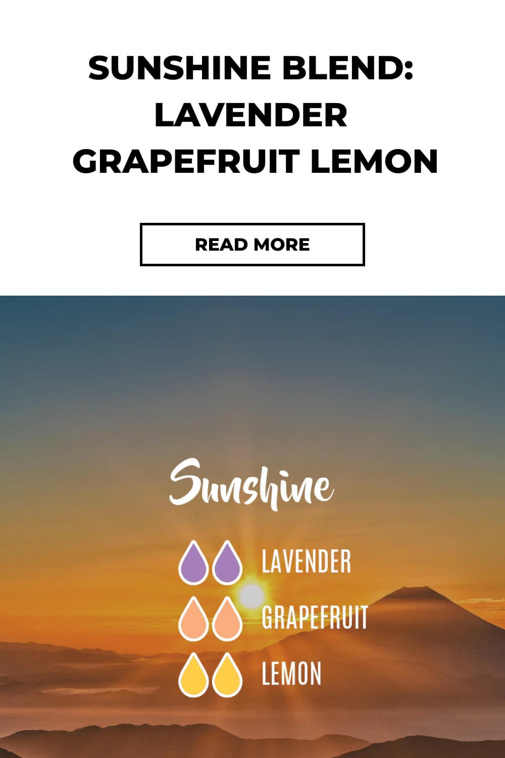 Sunshine Blend Lavender Grapefruit Lemon