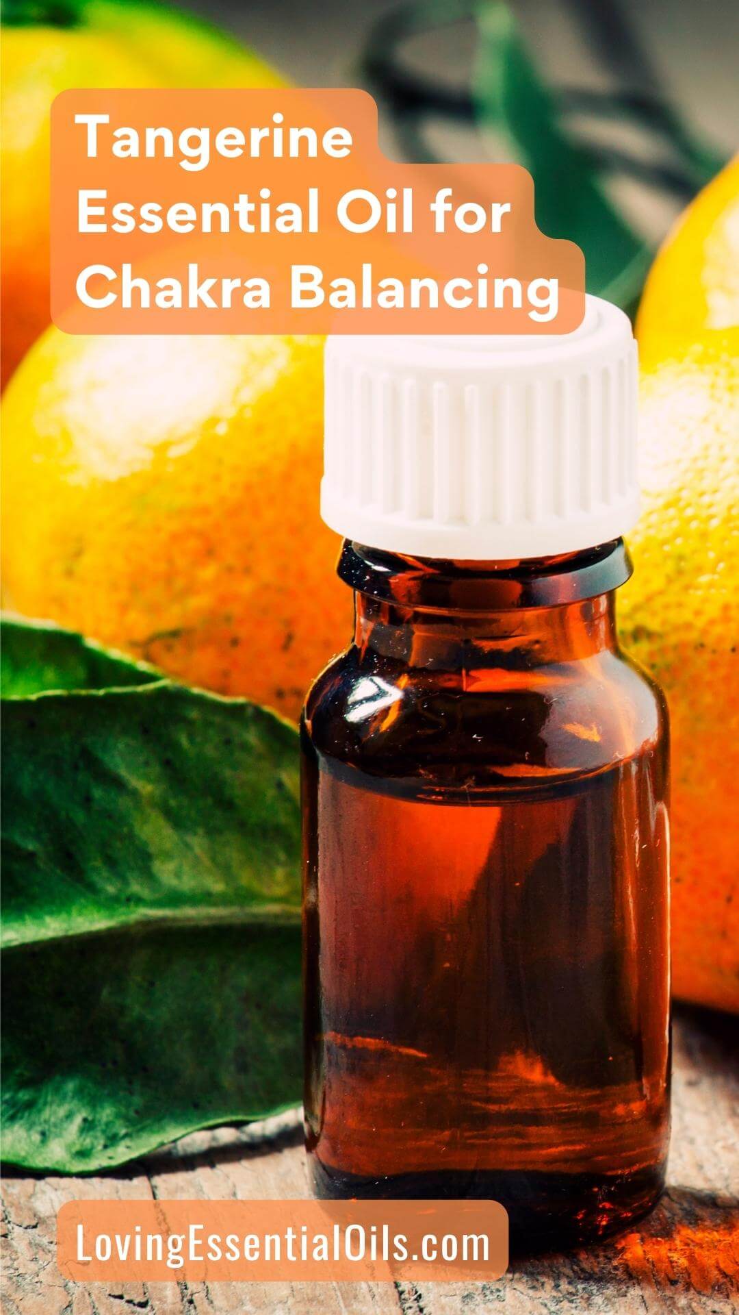 Tangerine Essential Oil for Chakra by Loving Essential Oils