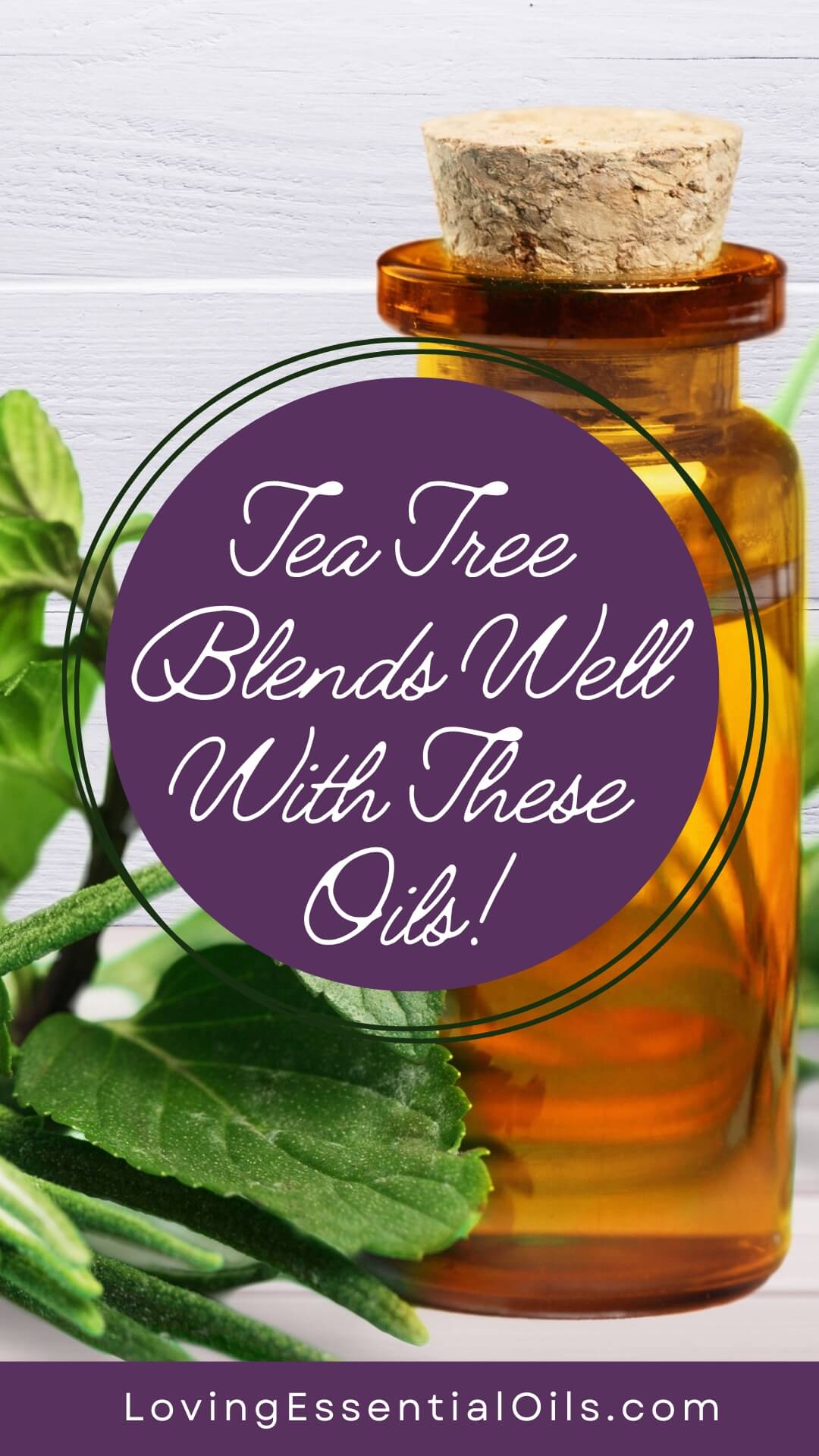 Tea Tree Blends Well With These Oils by Loving Essential Oils