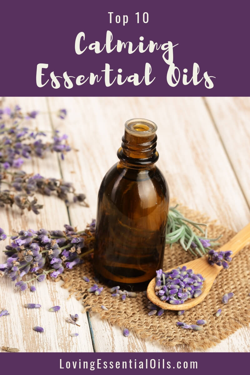 Essential Oils for Calming and How to Easily Benefit by Loving Essential Oils