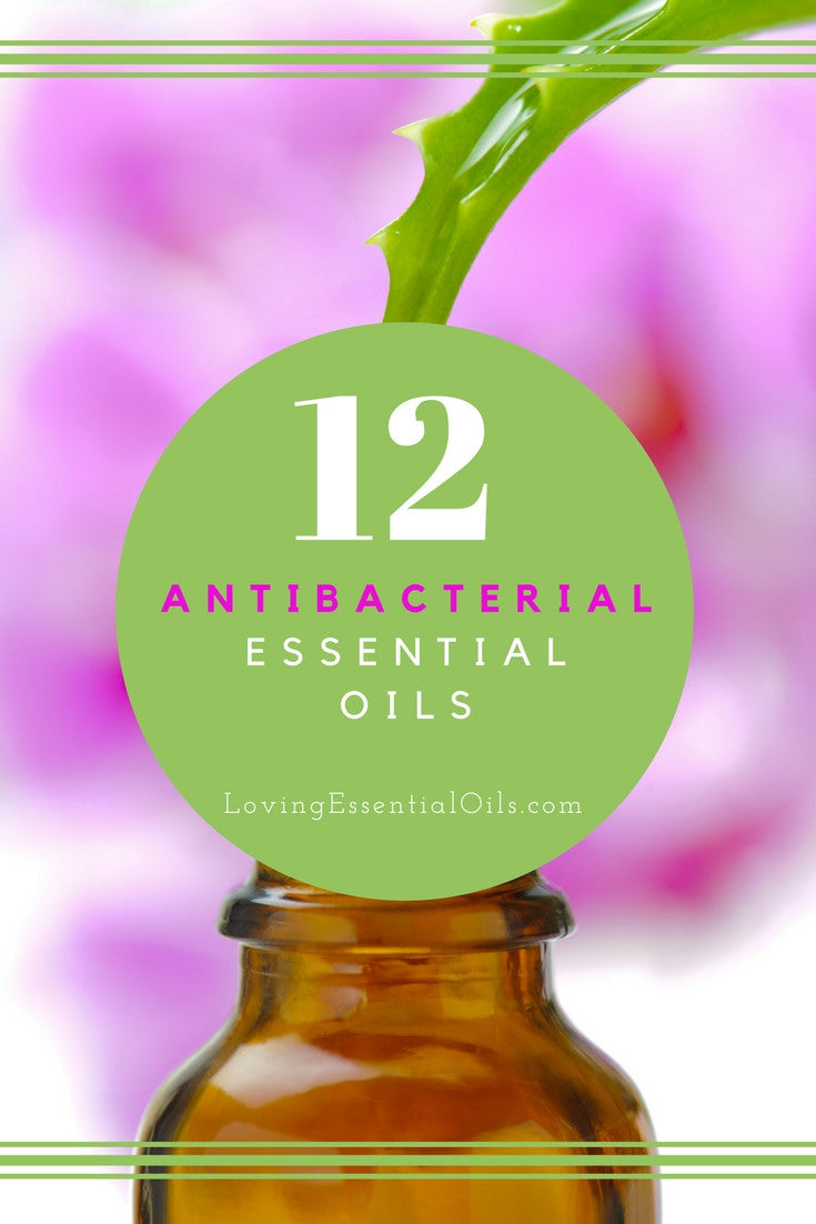 Top 12 Antibacterial Essential Oils