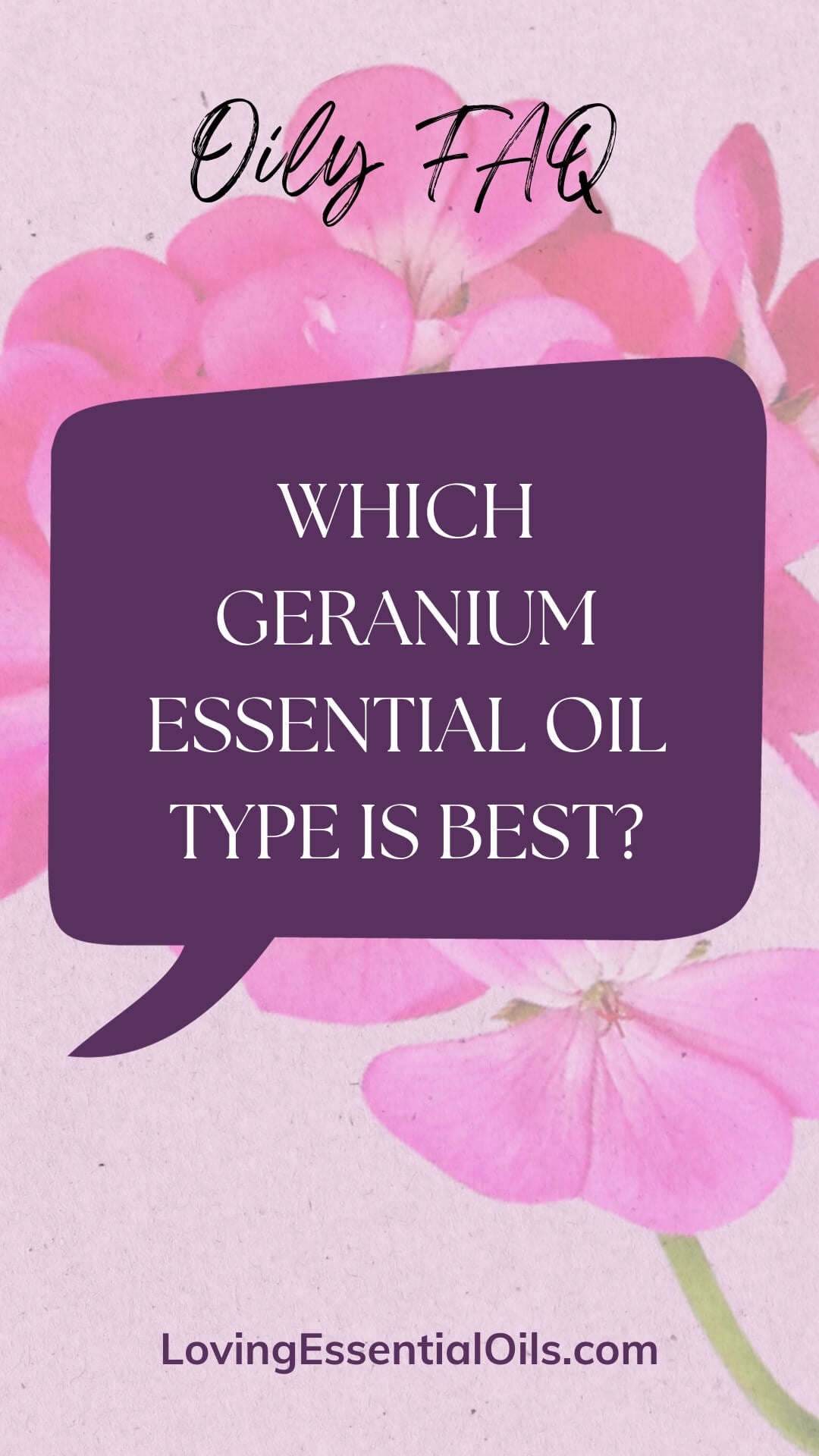 Types of Geranium Essential Oils by Loving Essential Oils