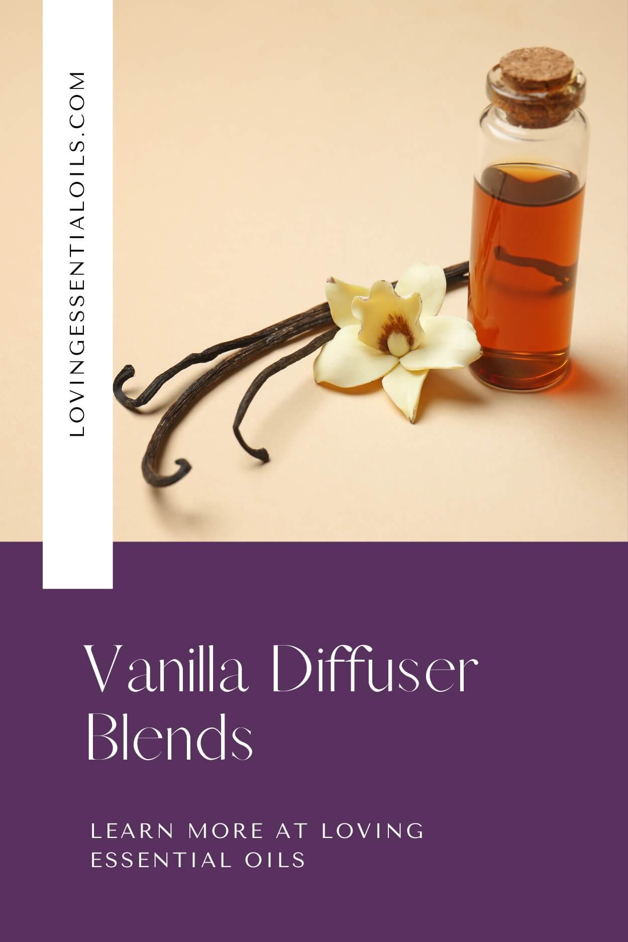 Vanilla Essential Oil Blends Well With PLUS Diffuser Blends