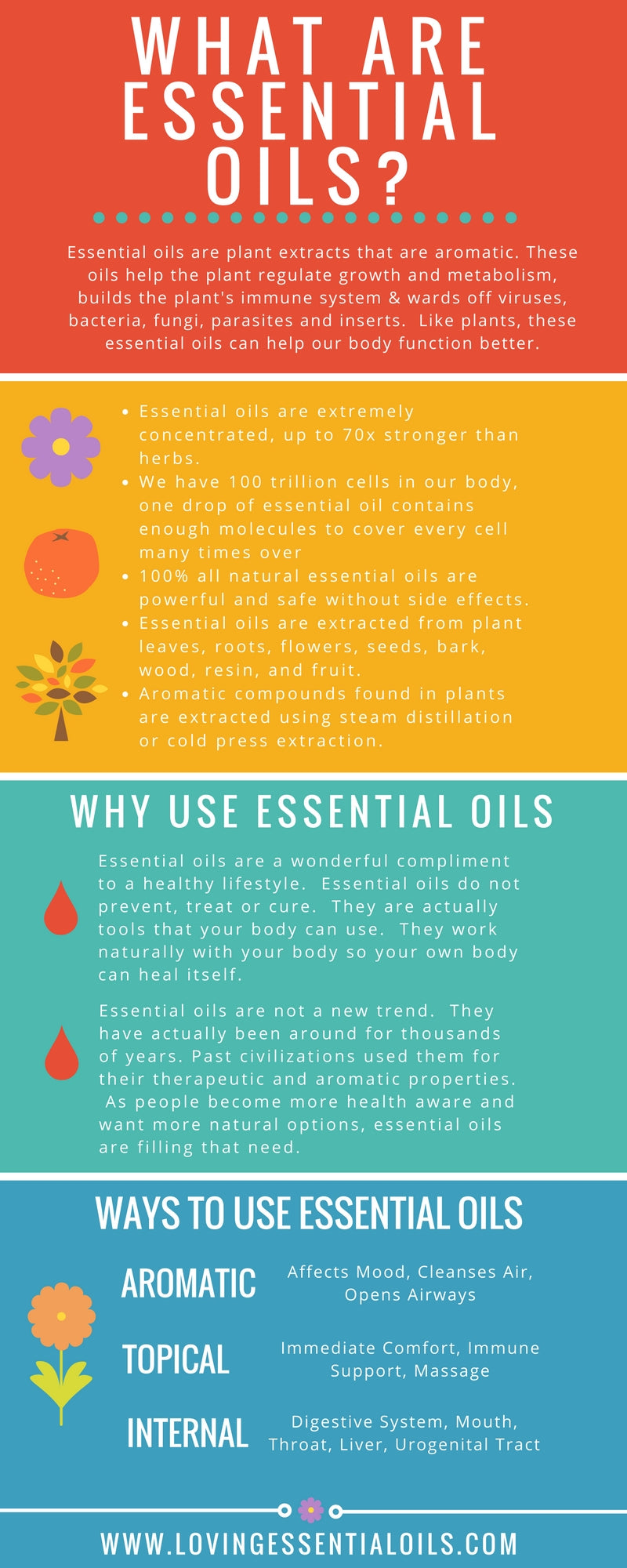 What Are Essential Oils Infographic