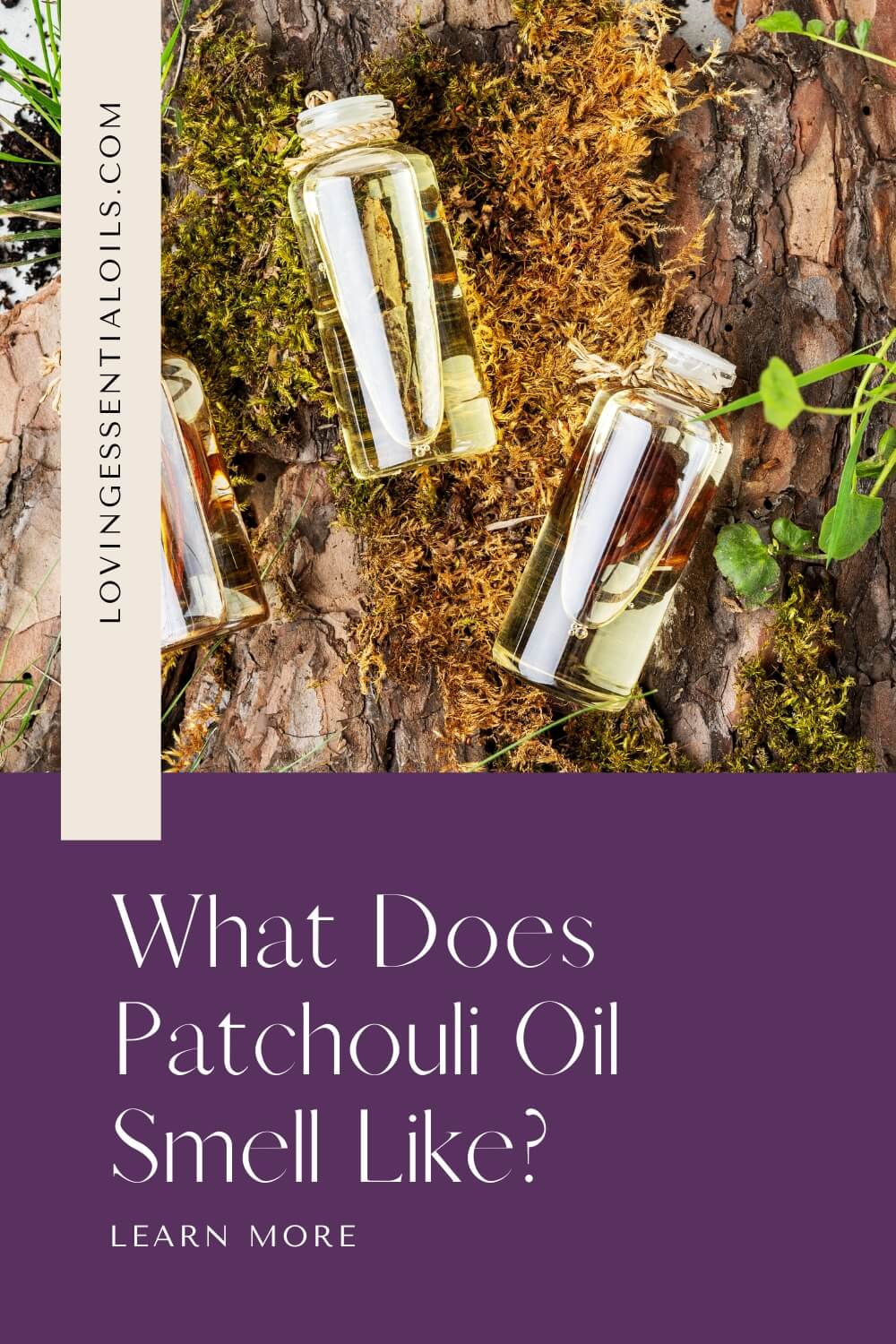 What Does Patchouli Essential Oil Smell Like? by Loving Essential Oils
