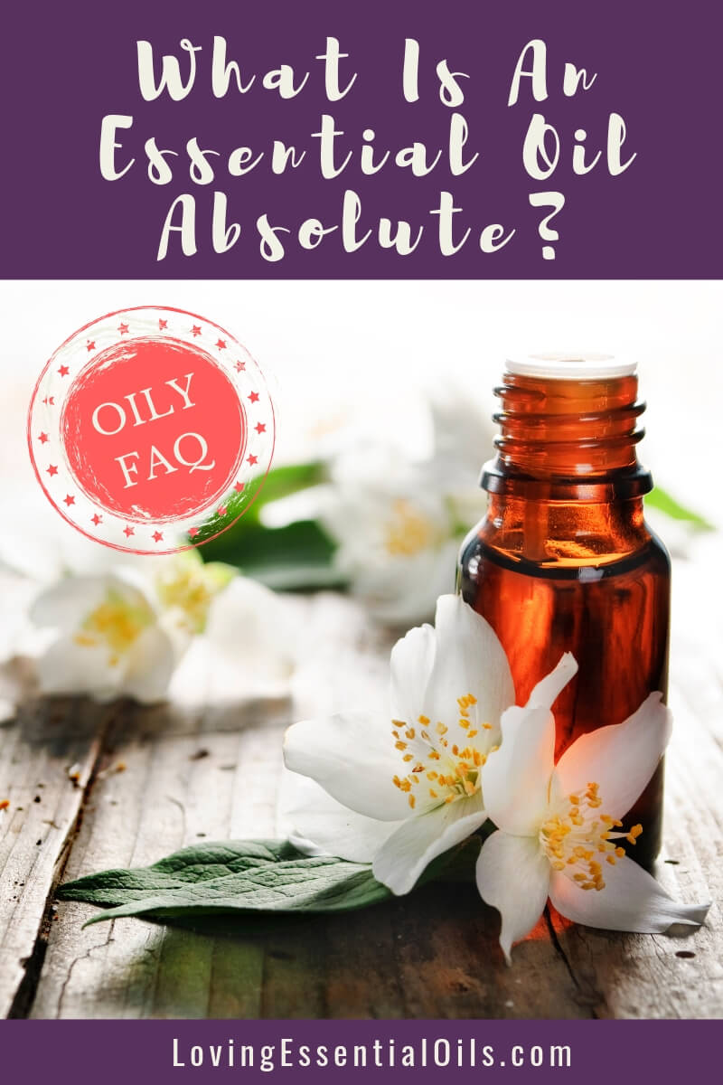 Absolute Essential Oil - What is absolute oil? by Loving Essential Oils