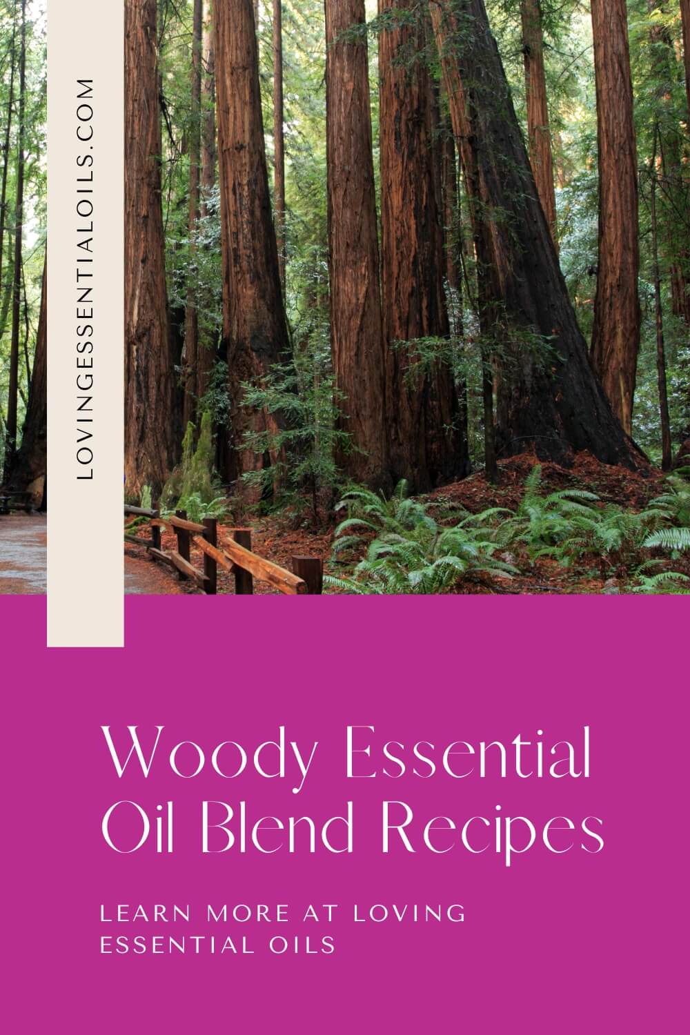 Woody Essential Oil Recipes & Diffuser Blends