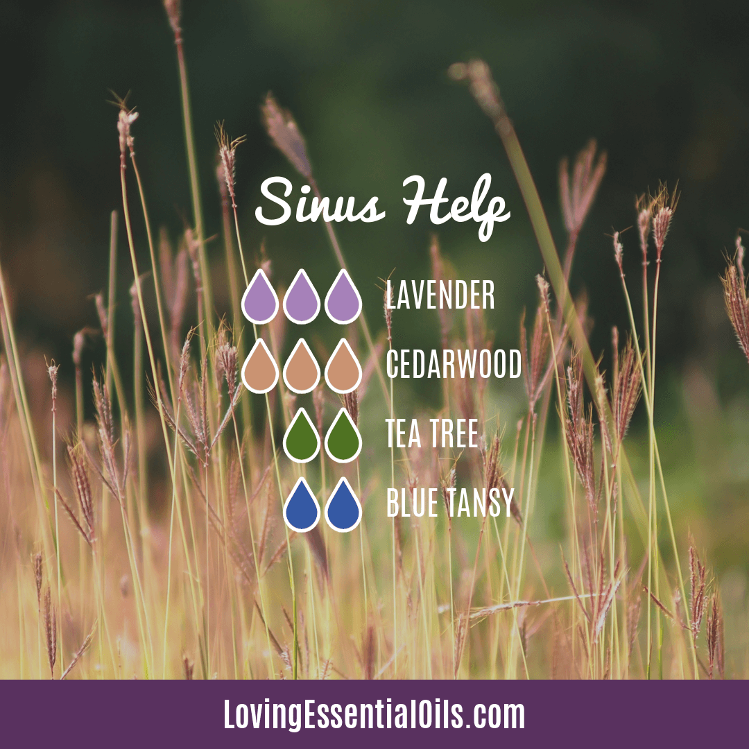 Allergy Diffuser Blends - Sinus Help by Loving Essential Oils with lavender, cedarwood, tea tree, and blue tansy