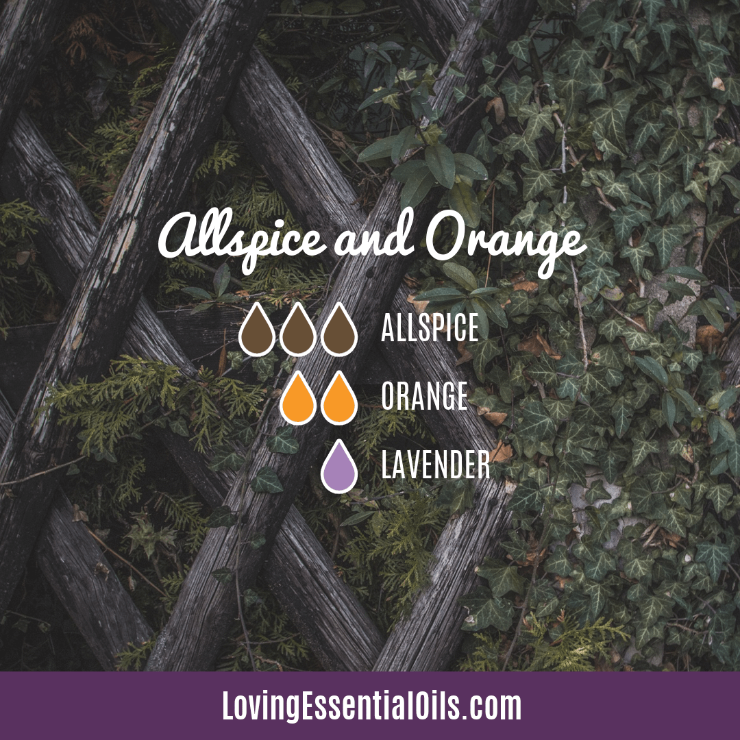 Allspice Diffuser Blends by Loving Essential Oils | Allspice and Orange with lavender