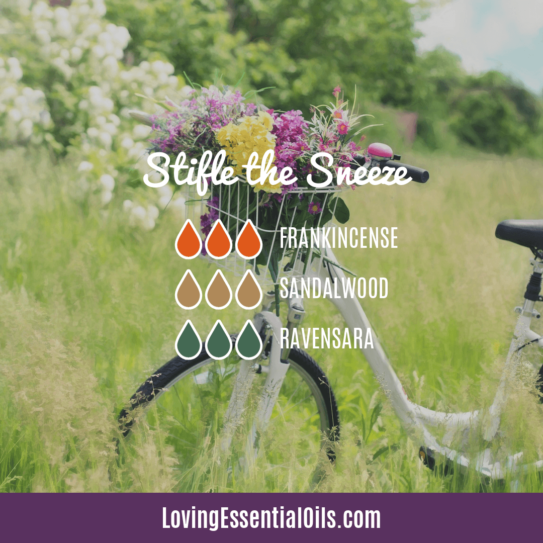 Allergy Essential Oil Blend - Stiffle the Sneeze by Loving Essential Oils with Frankincense, sandalwood, and ravensara